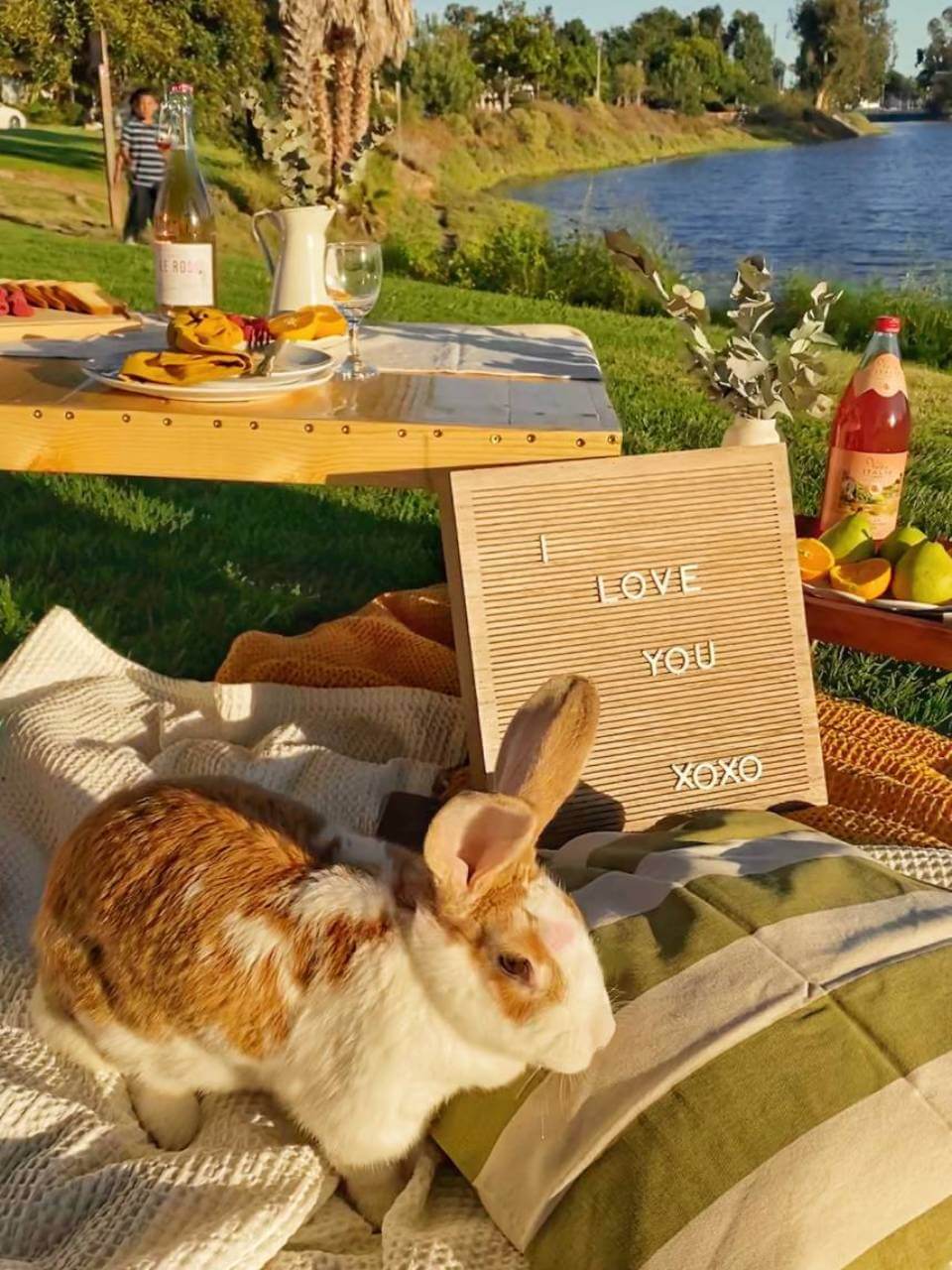 romantic picnic at the park in Long Beach