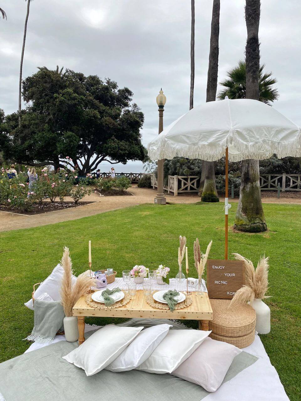 pop-up picnic at the park