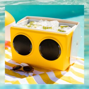 Igloo KoolTunes boombox cooler