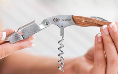 corkscrew wine openers: top 5 picks