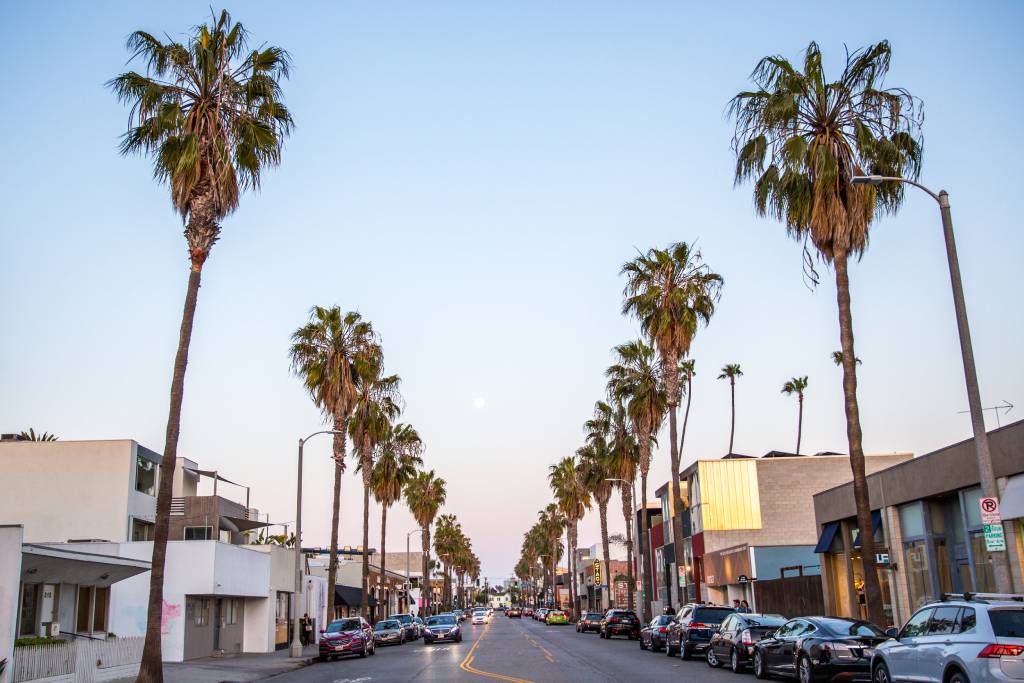 Abbot Kinney Boulevard Shopping