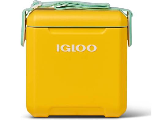 Igloo Teal 11 Qt cooler