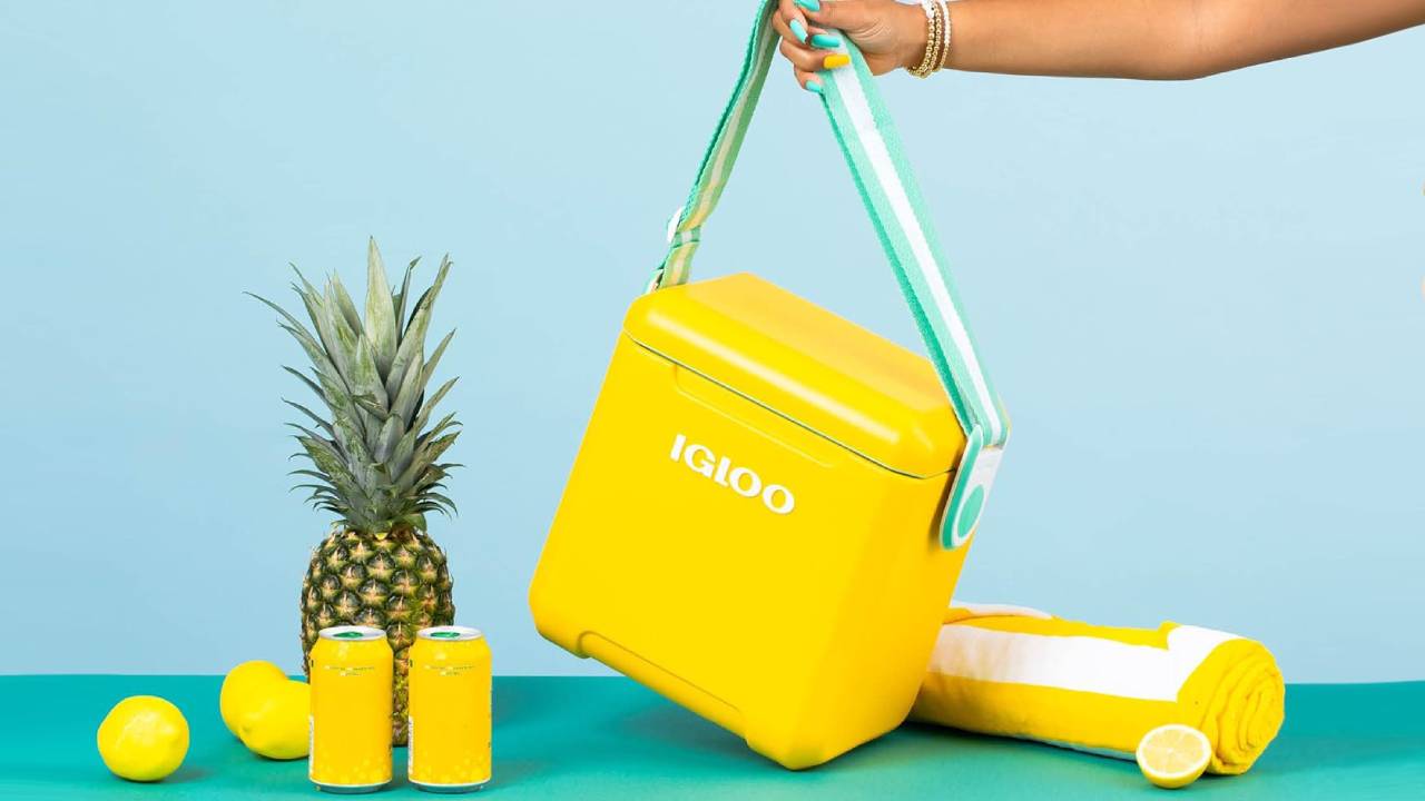 best vintage coolers